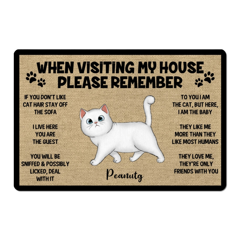 Please Remember When Visiting Cats House Personalized Doormat