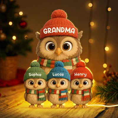 3D Effect Heartwarming Christmas Owls Grandma Grandkids - Personalized Light Box