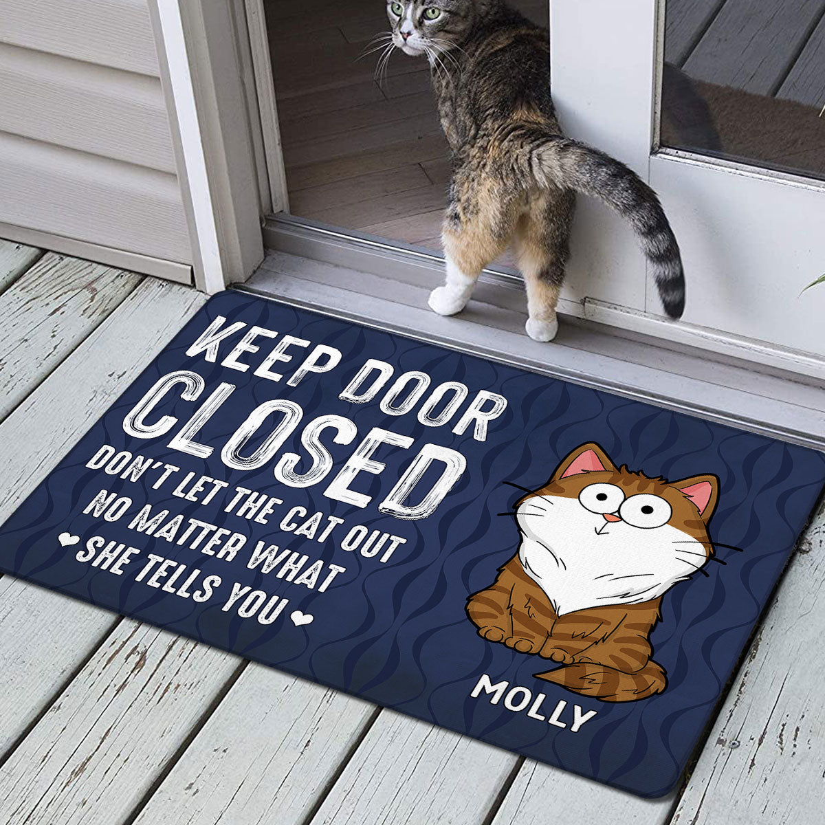 Keep Door Closed Funny Cat Expression Personalized Doormat