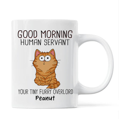 Good Morning Human Servant Funny Cat Expressions Personalized Mug