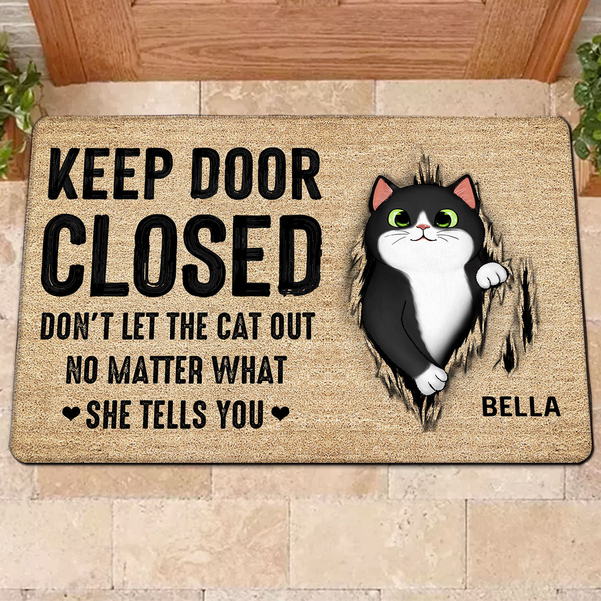 Keep Door Closed Fluffy Cat Tearing Light Color Personalized Doormat
