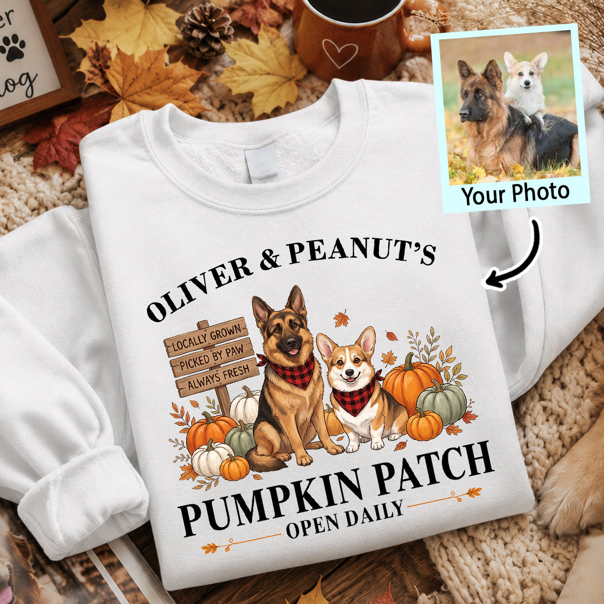 Custom Pet Photo Pumpkin Patch - Personalized Shirt - Trendy Fall Tee for Dog Mom, Cat Mom