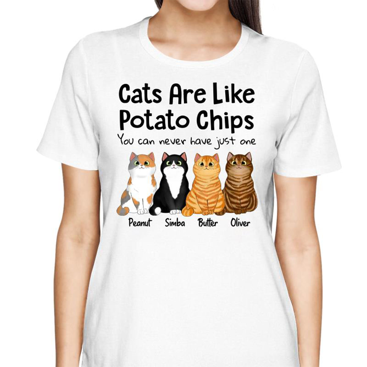Cats Are Like Potato Chips Fluffy Cat Gift For Cat Lover Personalized Shirt