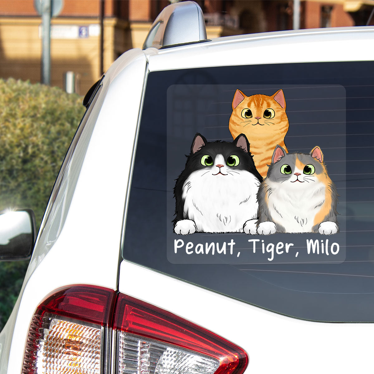 Fluffy Cats Personalized Decal, Gift For Cat Lovers
