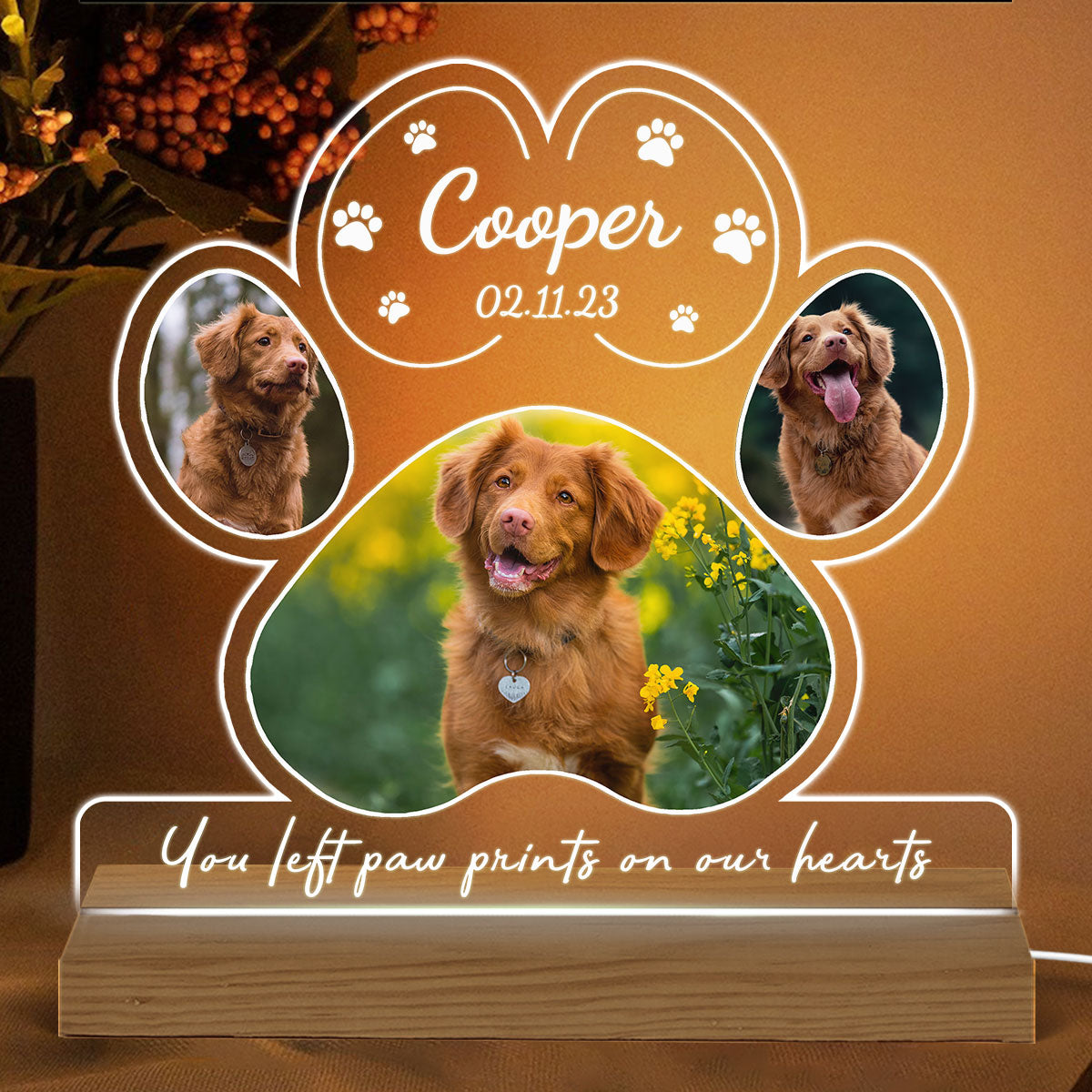 Dog Cat Pet Loss Photo Inserted Personalized Custom Shape Warm LED Night Light