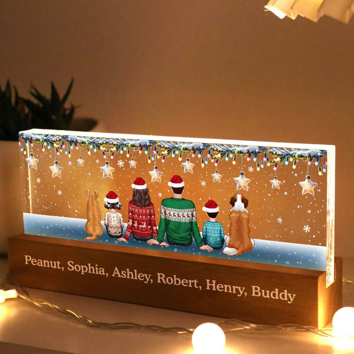 Family Dogs Cats Christmas Sitting Christmas Light Star Personalized Acrylic Block LED Night Light