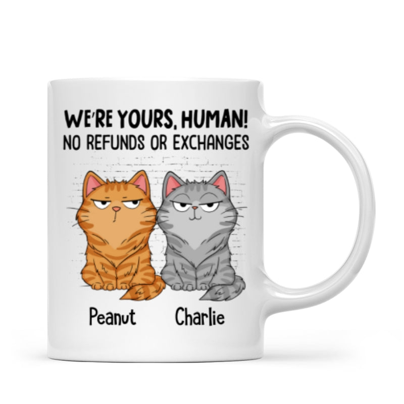 Sorry Human We‘re Yours Funny Cat Expression Personalized Mug