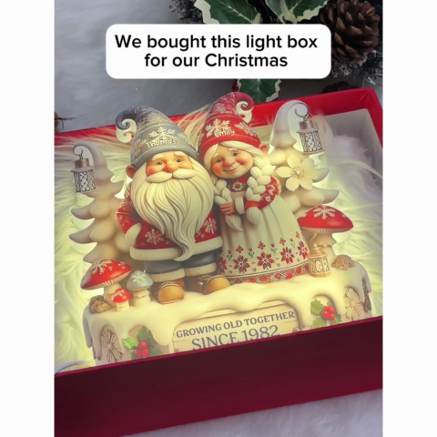 3D Effect Christmas Gnome Couple Growing Old Together - Personalized Light Box - Heartwarming Gift For Couple