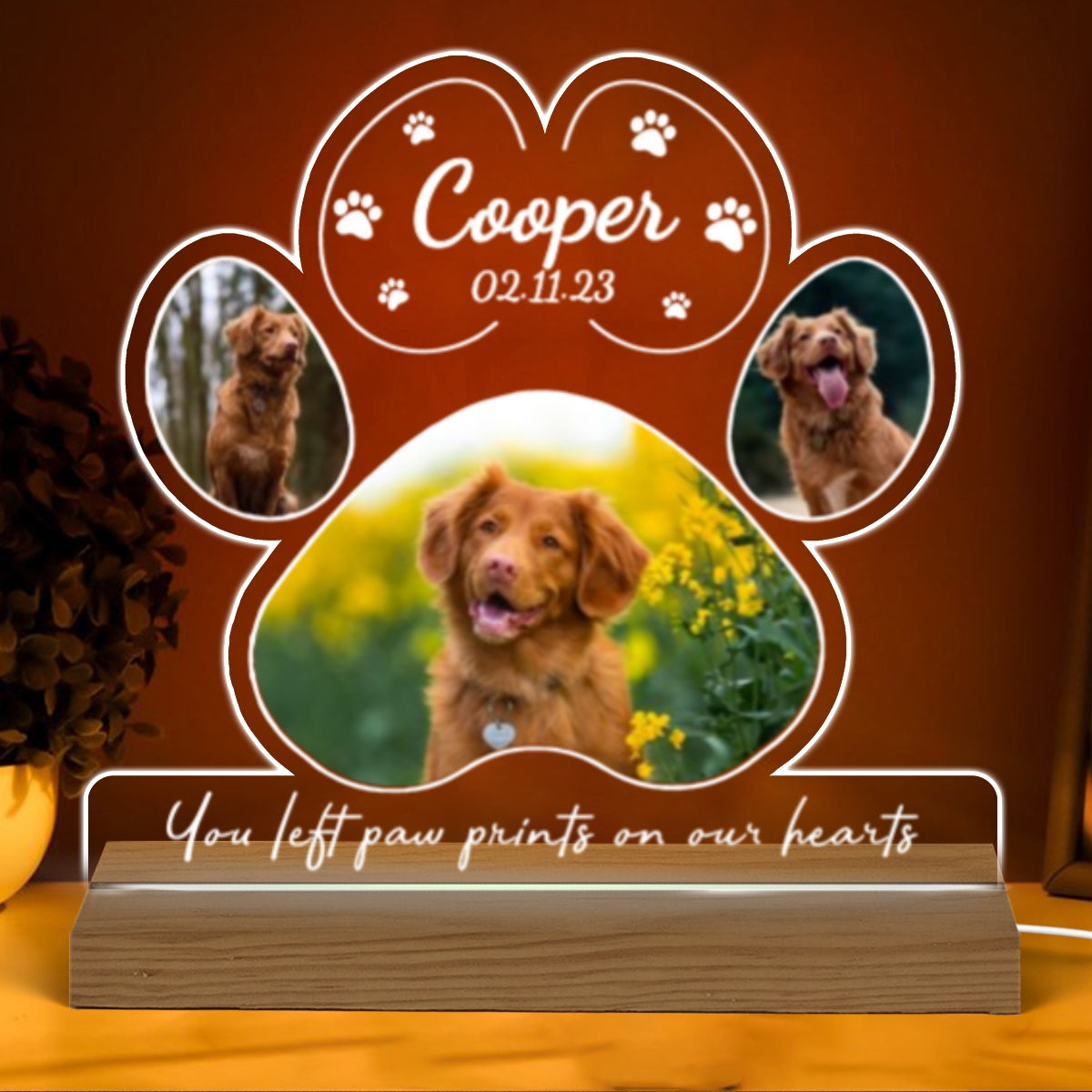 Dog Cat Pet Loss Photo Inserted Personalized Custom Shape Warm LED Night Light