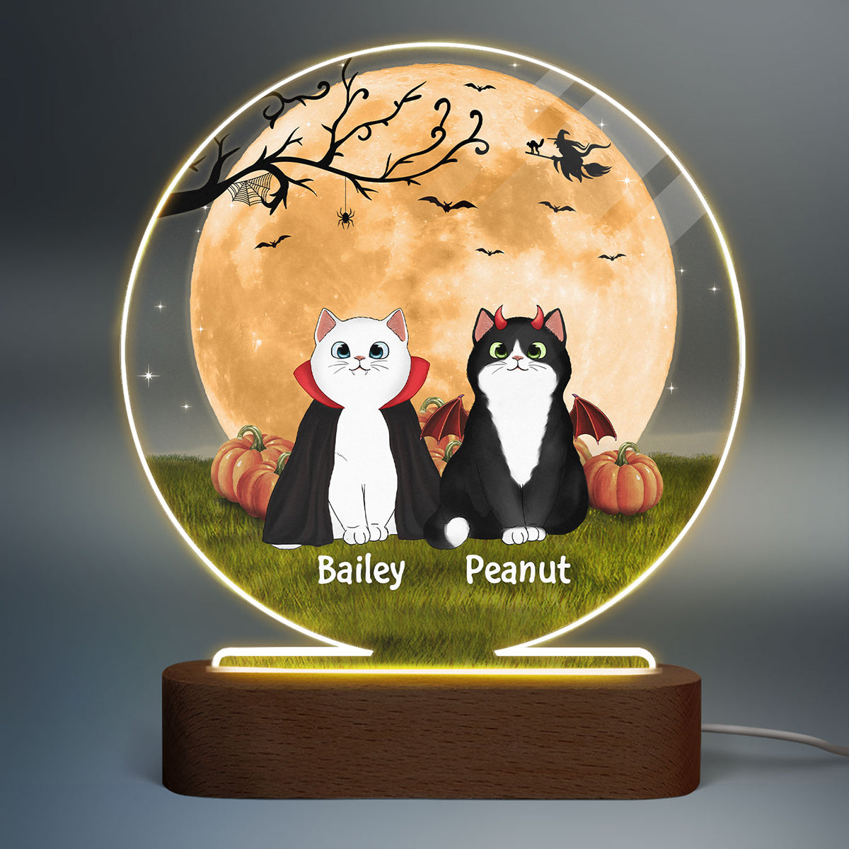 Fluffy Cat Halloween Full Moon Personalized Circle LED Night Light