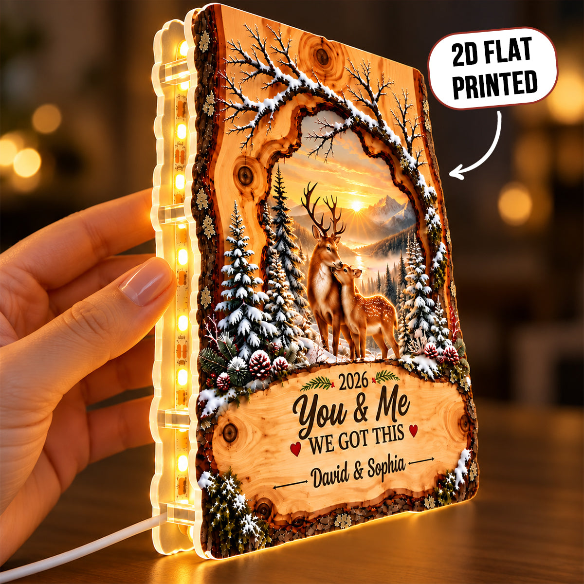 Deer Couple We Got This - Personalized Light Box - Heartfelt Christmas Gift for Her, for Him