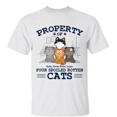 Property Of Spoiled Rotten Cats Funny Cats Expressions Personalized Shirt