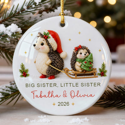 Big Sister Little Brother Sister Hedgehog 2D Flat - Personalized Ceramic Ornament - Christmas Keepsake