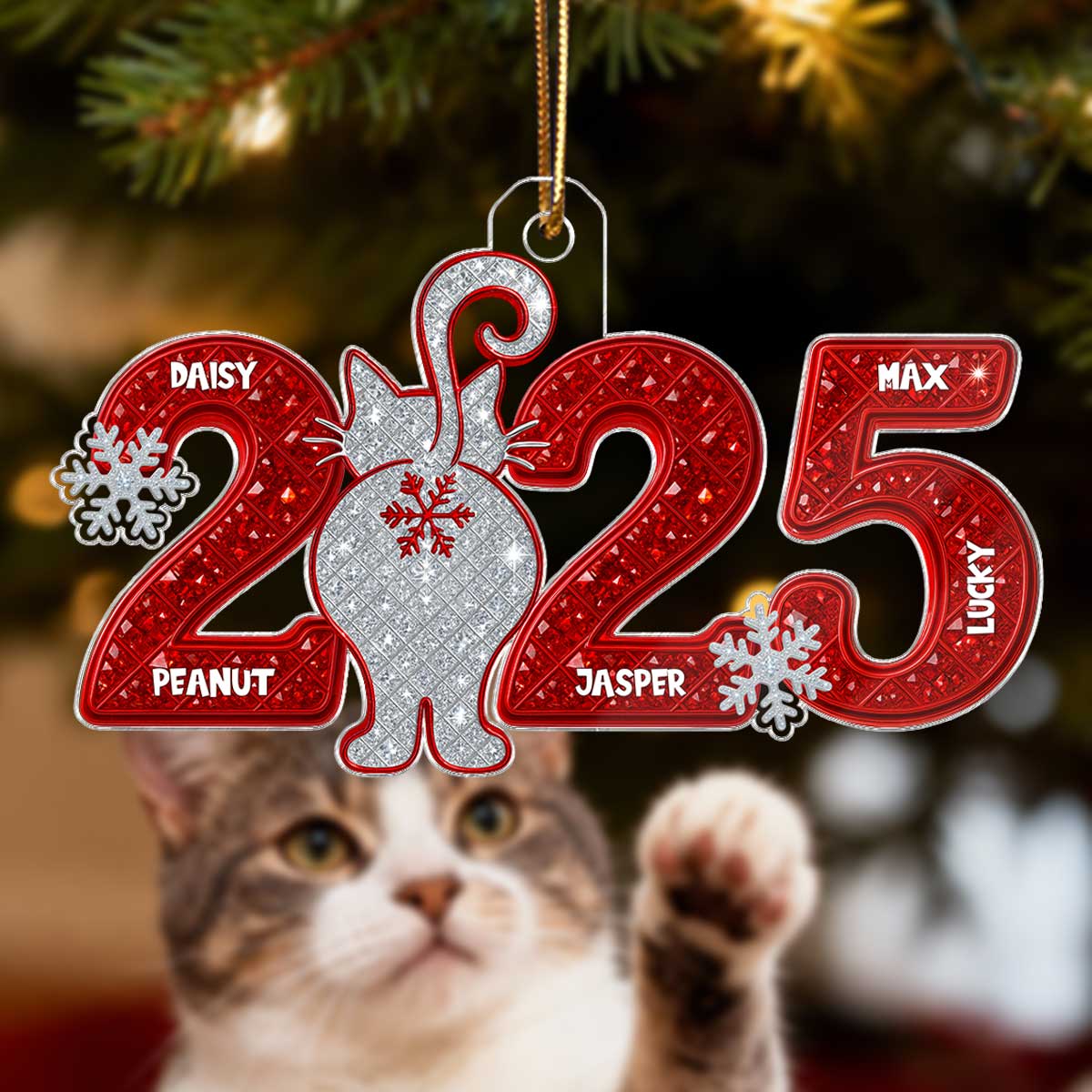 3D Shining Effect Christmas Cat Custom Names - Personalized Acrylic Ornament - Gift For Cat Lovers