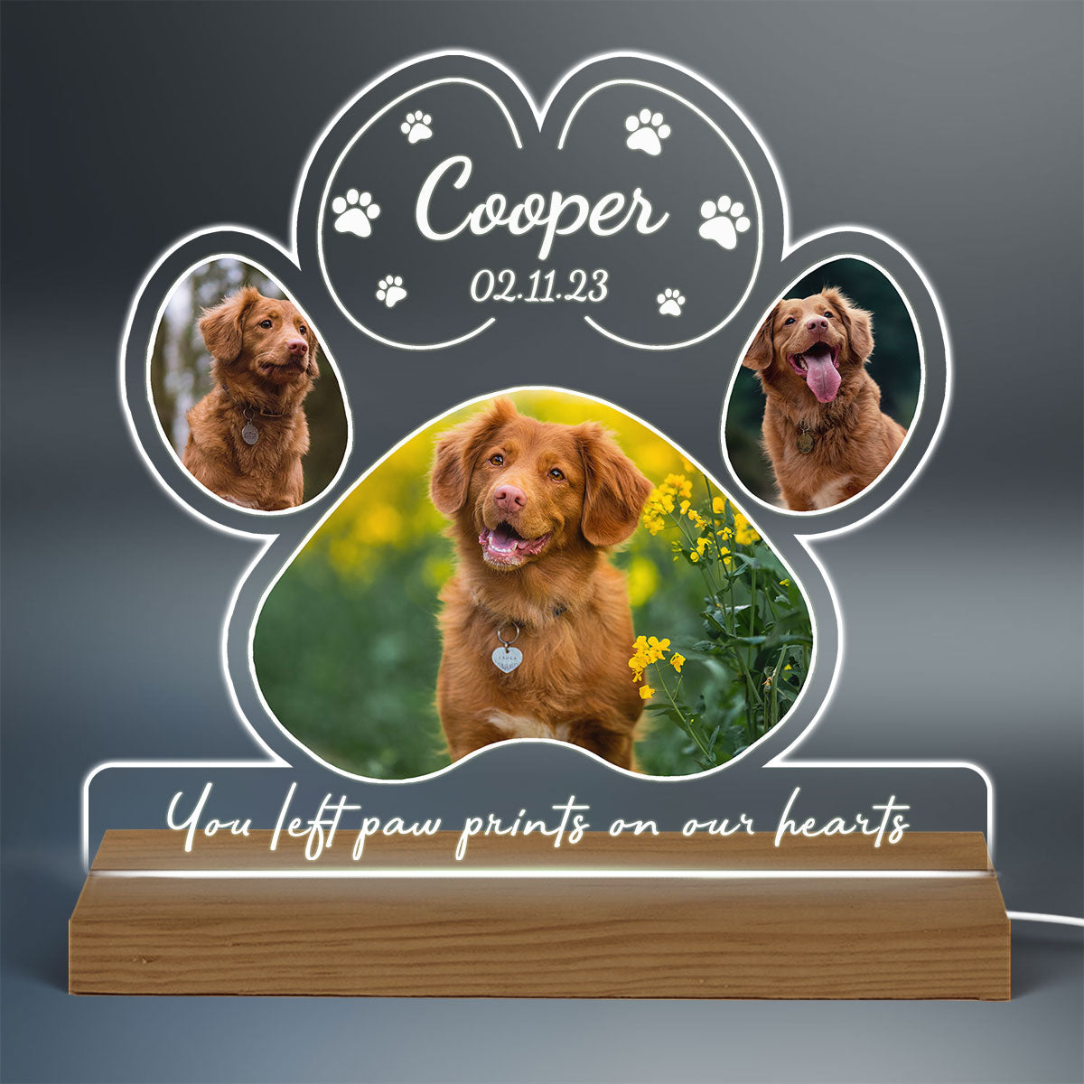 Dog Cat Pet Loss Photo Inserted Personalized Custom Shape Warm LED Night Light