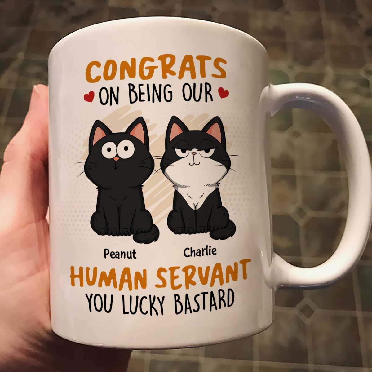 Congrats On Being My Human Servant Funny Cat Expression Personalized Mug
