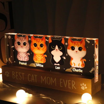 Gift For Cat Mom Personalized Acrylic Block LED Night Light