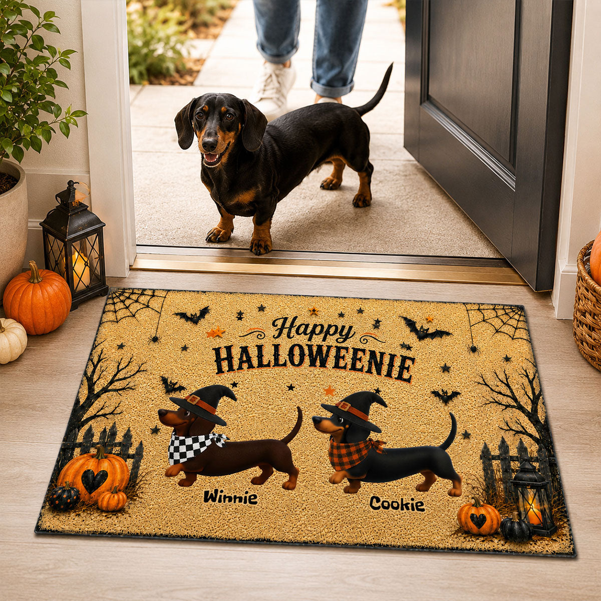 Dachshunds