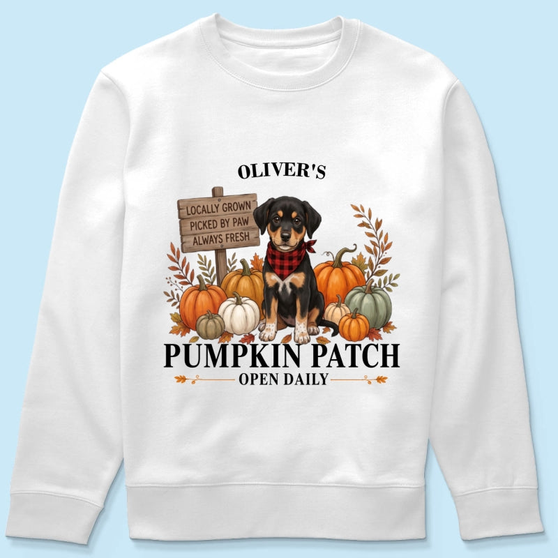 Custom Pet Photo Pumpkin Patch - Personalized Shirt - Trendy Fall Tee for Dog Mom, Cat Mom