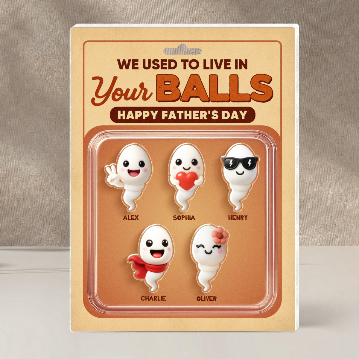 We Used To Live In Your Balls Toy Box Figures Style Personalized Acrylic Block Plaque, Funny Father's Day gift for Dads