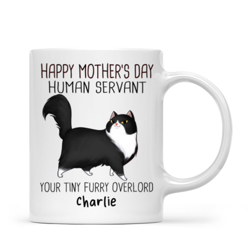 Happy Mother's Day Human Servant Cartoon Walking Cat Personalized Mug