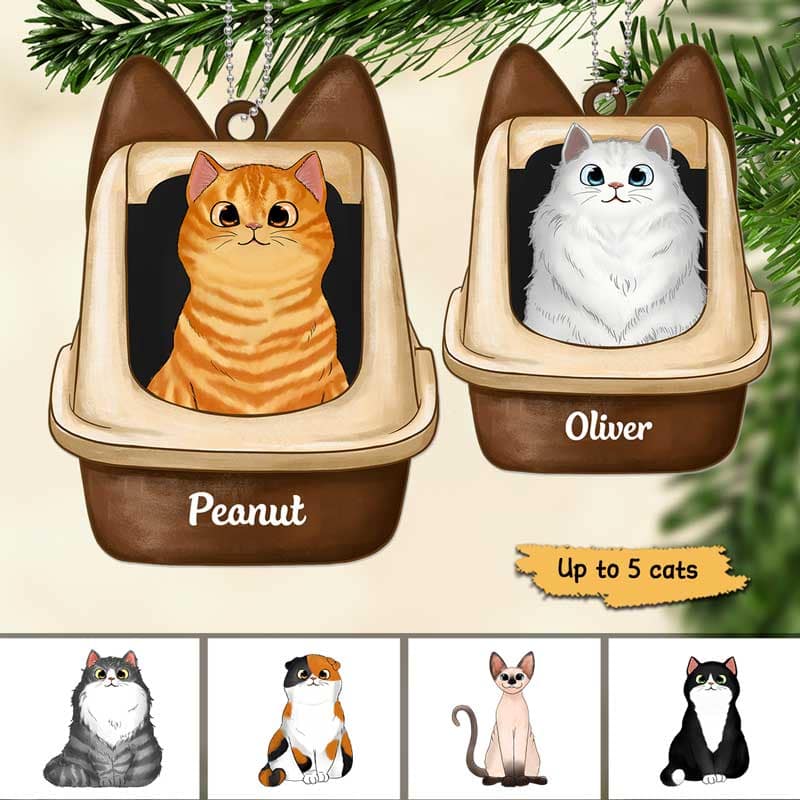 Cats In Litter Box Personalized Acrylic Ornament