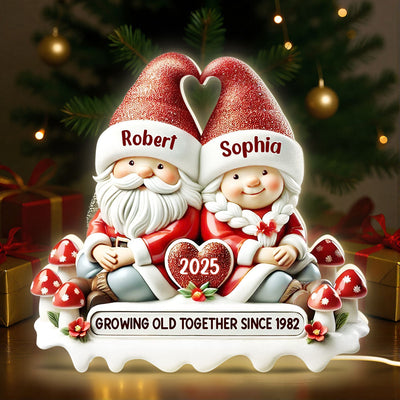 3D Effect Gnome Couple Growing Old Together Christmas - Personalized Light Box