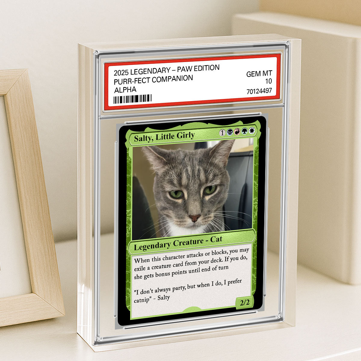 Custom Pet Photo Fantasy Trading Card Style Personalized Acrylic Block Plaque, Gift For Pet Lover