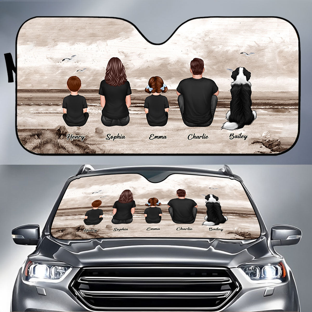 Car Sunshade