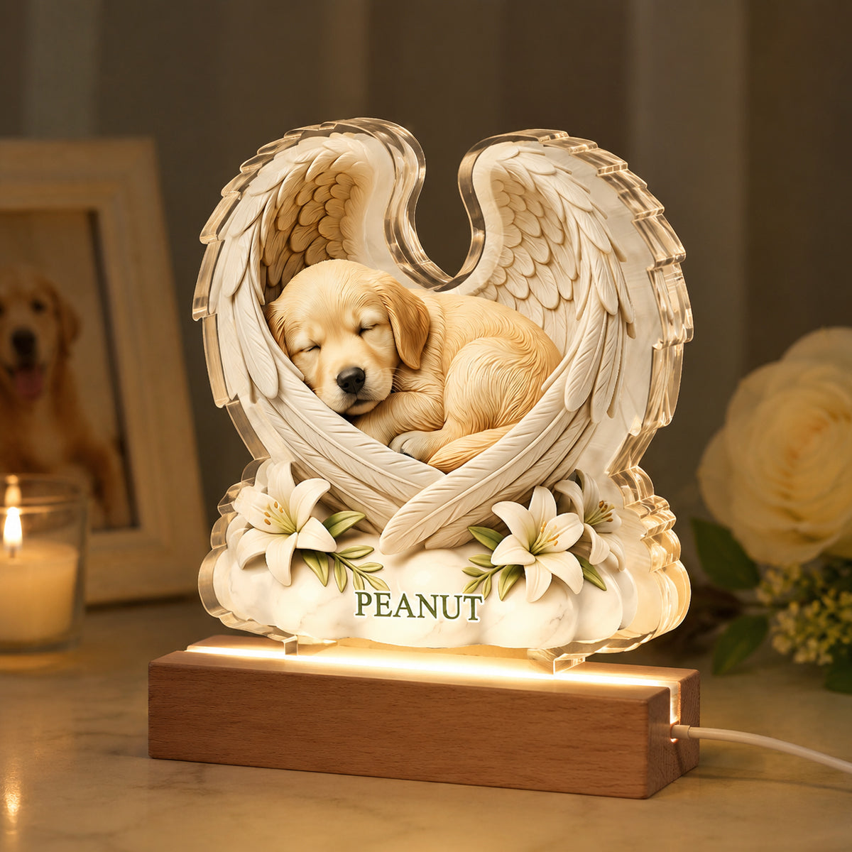 Custom Dog Cat Angel Wings Statue - Personalized Acrylic Block LED Night Light - Heartfelt Pet Memorial Gift