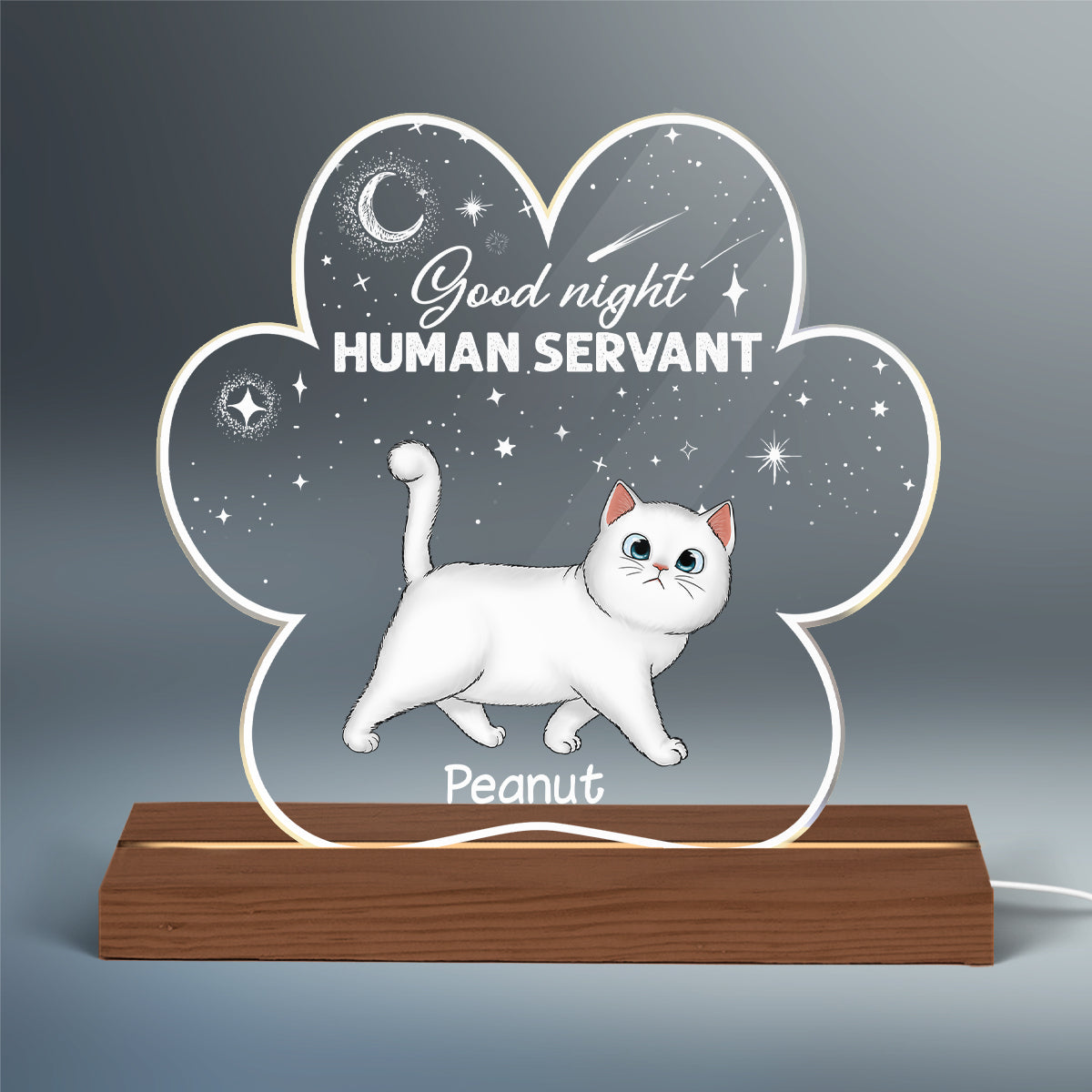 Good Night Human Servant Fluffy Cat Paw Shaped Personalized Custom Shape Acrylic Plaque With LED Night Light
