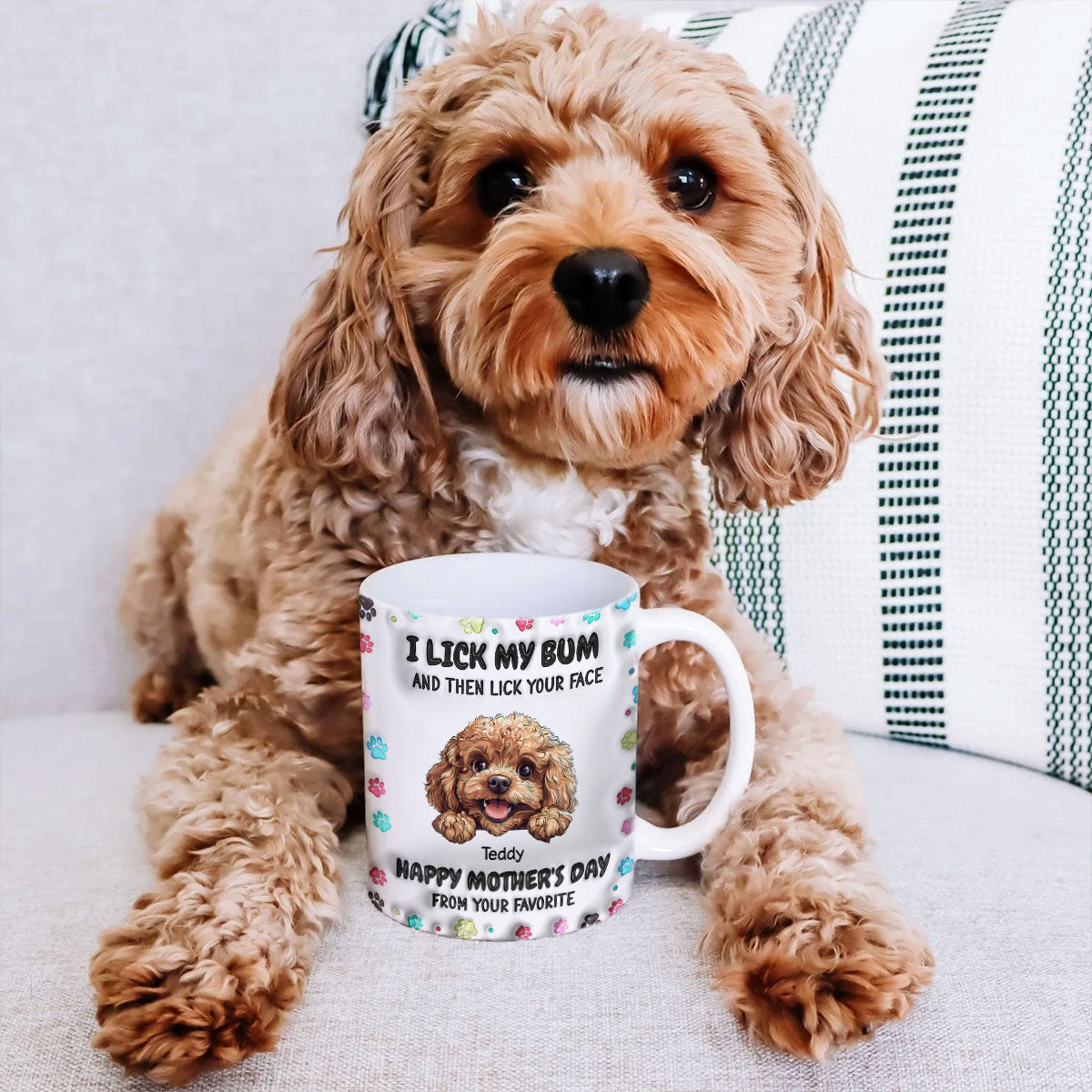 I Licked My Bum And Then Licked Your Face 3D Inflated Effect, Happy Mother's Day Dog Mom Personalized Mug
