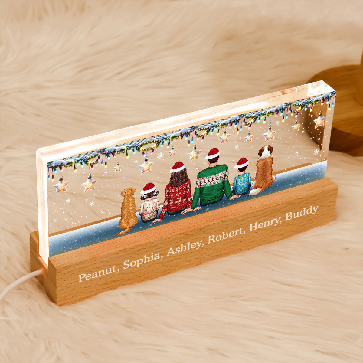 Family Dogs Cats Christmas Sitting Christmas Light Star Personalized Acrylic Block LED Night Light