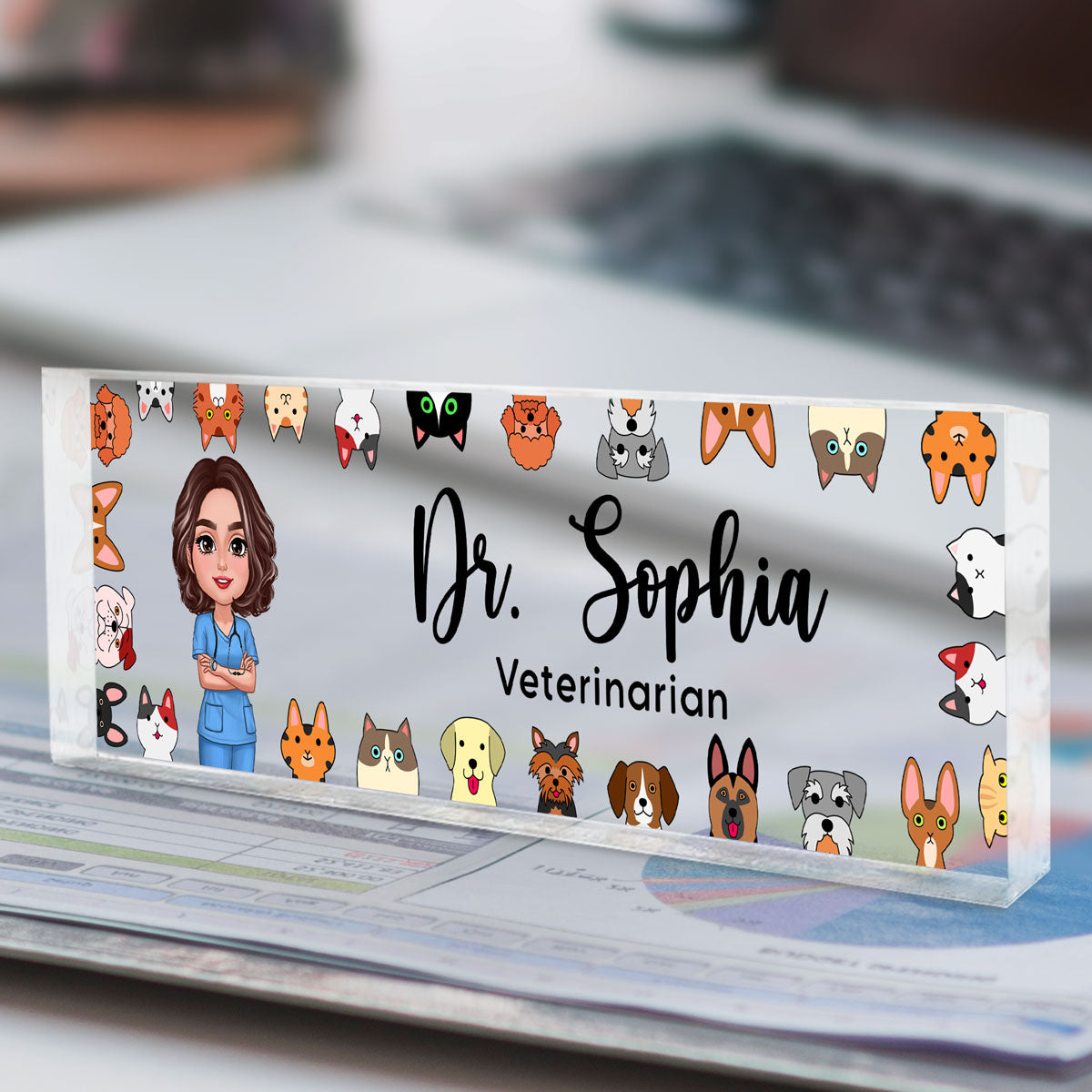 Dog Cat Veterinarian Personalized Acrylic Desk Name Plate, Christmas Gift For Vet
