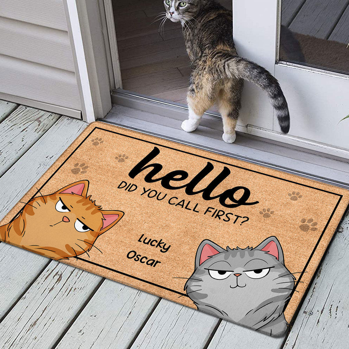 Hello Did You Call First Funny Cat Expression Personalized Doormat