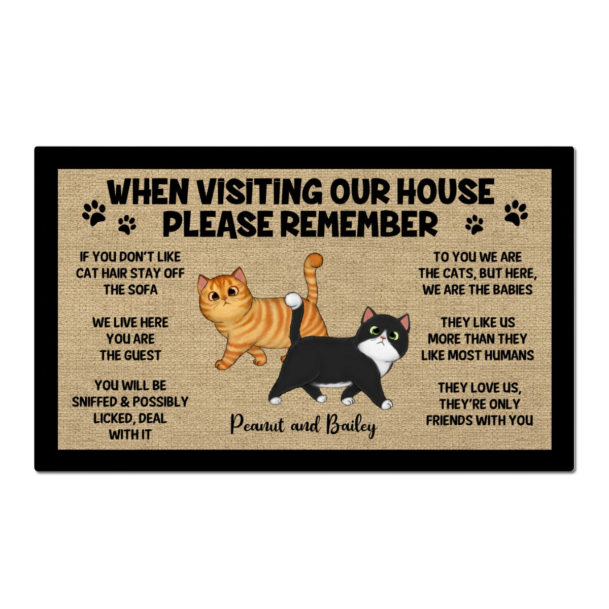Please Remember When Visiting Cats House Home Decor Gift For Cat Lover Personalized Doormat