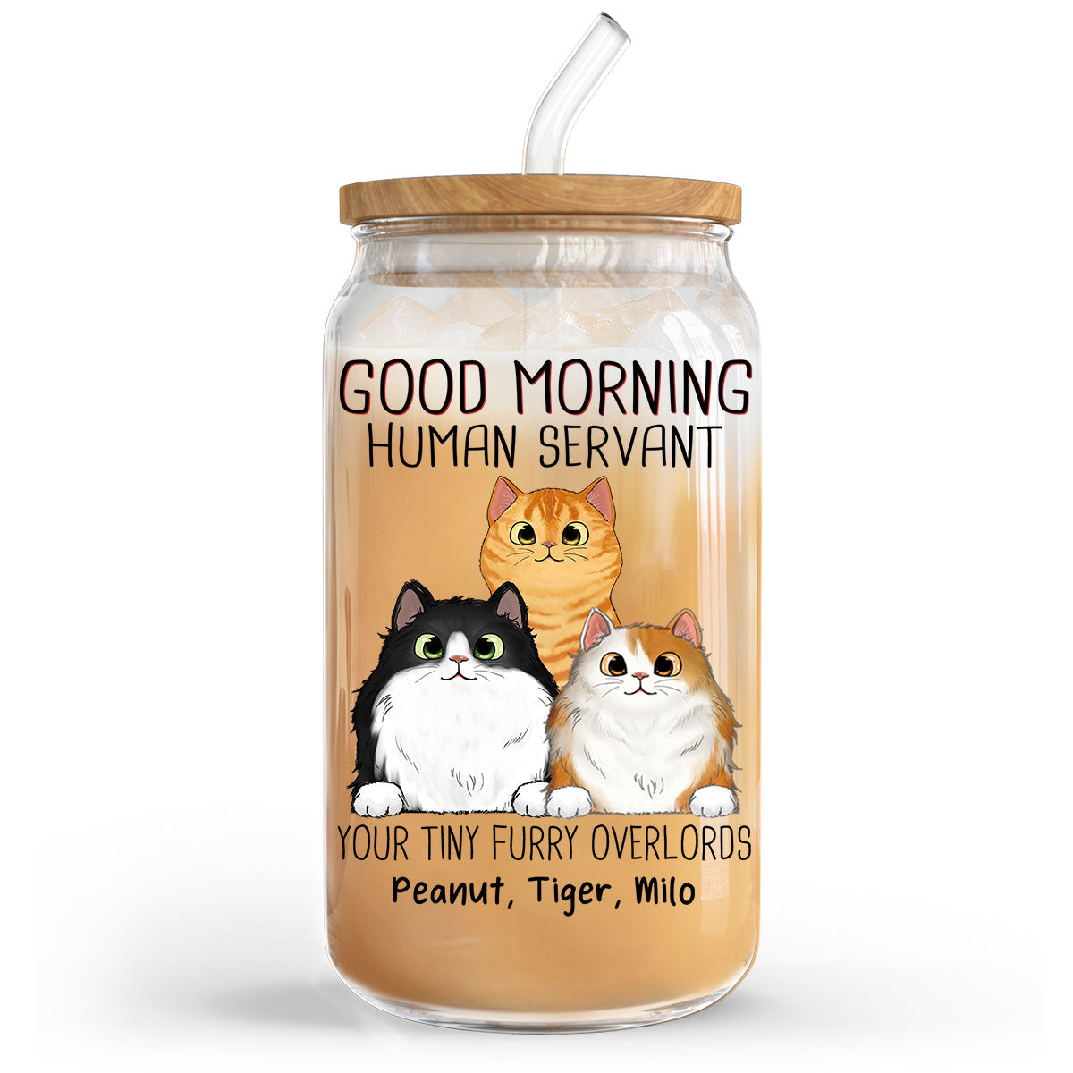 Good Morning Cat Human Servant Funny Gift For Cat Lovers Personalized Clear Glass Can