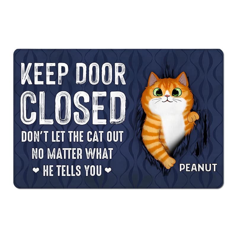 Keep Door Closed Fluffy Cat Tearing Personalized Doormat - Gift For Cat Lovers