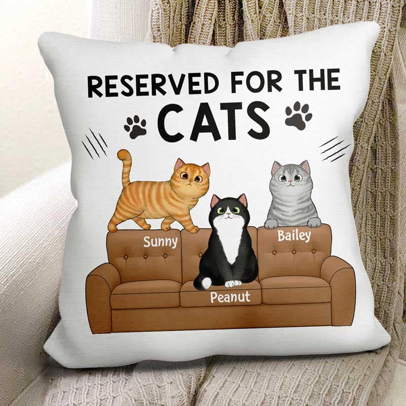 Reserved For The Fluffy Cats Personalized Pillow