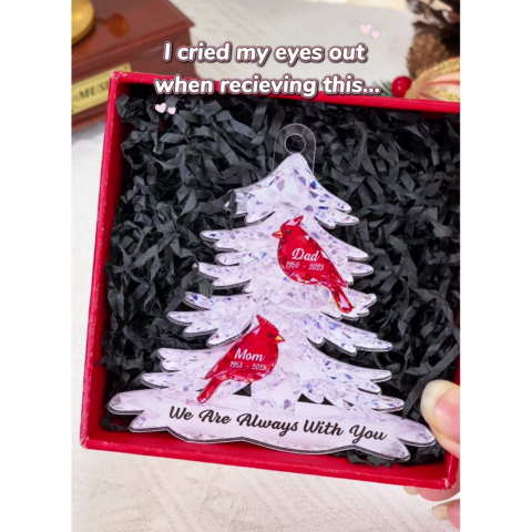 3D Effect Cardinals Memorial - Personalized Acrylic Car Hanger - Remembrance Gift, Sympathy Gift For Whole Family, Extended Family