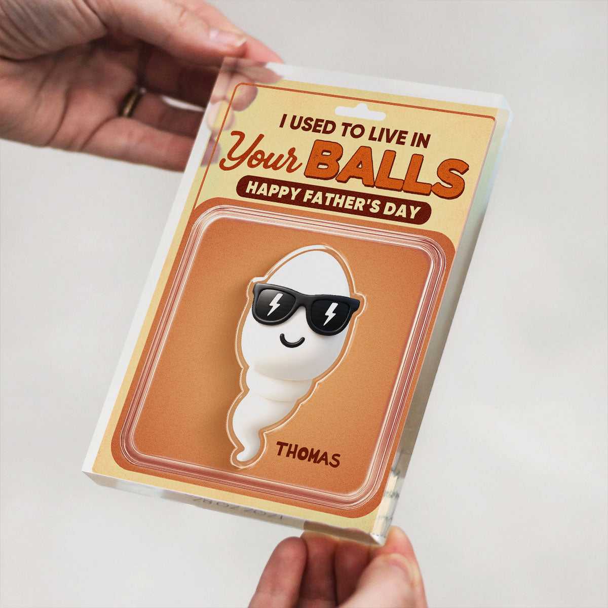 We Used To Live In Your Balls Toy Box Figures Style Personalized Acrylic Block Plaque, Funny Father's Day gift for Dads