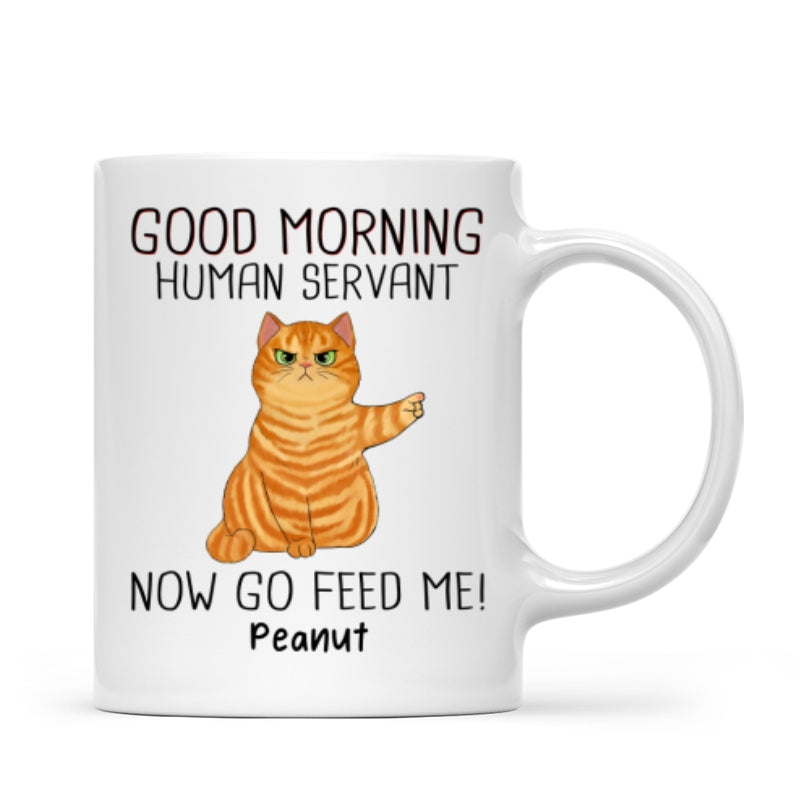 Happy Father‘s Day Good Morning Now Go Feed Me Grumpy Fluffy Cat Personalized Mug