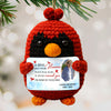 Hug Sent From Heaven Custom Photo Handmade Cardinal - Personalized Crochet With Card - Sympathy Gift Memorial Keepsake