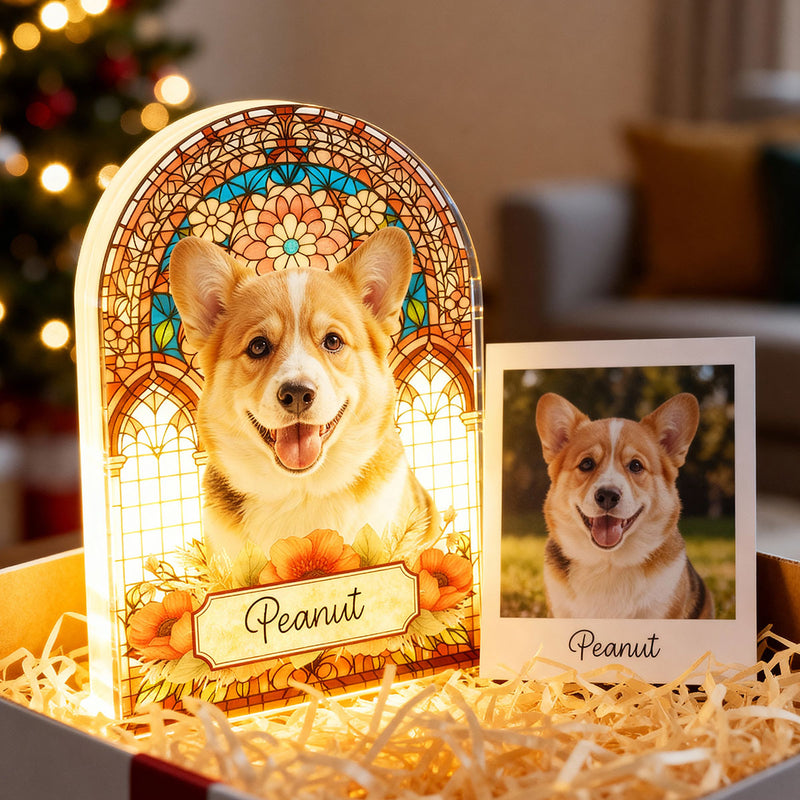 Stained Glass Pattern Pet Memorial Custom Photo - Personalized Light Box