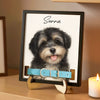 Dog Memorial Frame Pet Portrait Photo Collar Holder Sign, Customized Dog Cat Remembrance Gift For Loss Pet, Loss Cat Collar Keepsake