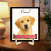 Dog Memorial Frame Pet Portrait Photo Collar Holder Sign, Customized Dog Cat Remembrance Gift For Loss Pet, Loss Cat Collar Keepsake