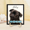 Dog Memorial Frame Pet Portrait Photo Collar Holder Sign, Customized Dog Cat Remembrance Gift For Loss Pet, Loss Cat Collar Keepsake