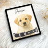 Dog Memorial Frame Pet Portrait Photo Collar Holder Sign, Customized Dog Cat Remembrance Gift For Loss Pet, Loss Cat Collar Keepsake