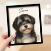 Dog Memorial Frame Pet Portrait Photo Collar Holder Sign, Customized Dog Cat Remembrance Gift For Loss Pet, Loss Cat Collar Keepsake
