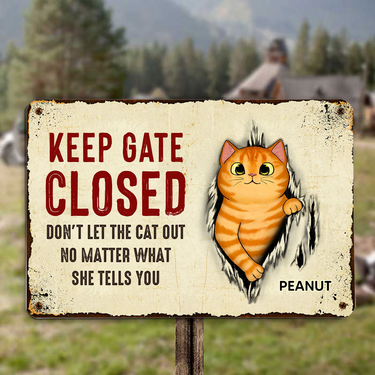 Don‘t Let The Cats Out Scratching Tearing Fluffy Cat Personalized Metal Sign